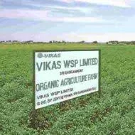 Vikas WSP