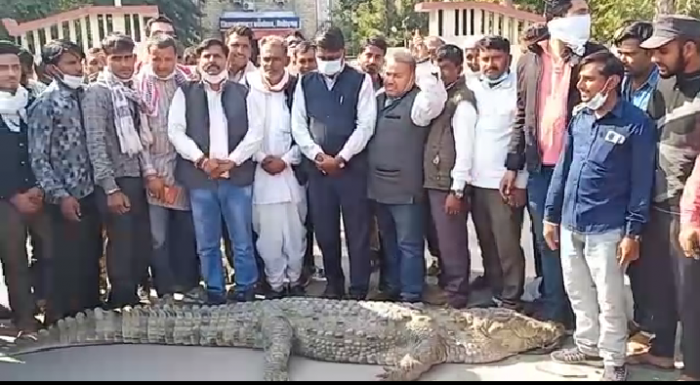 Screenshot 20210205 165305 2