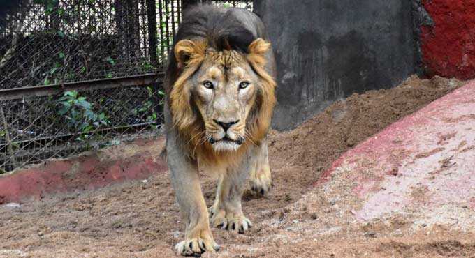 Hyderabad zoo