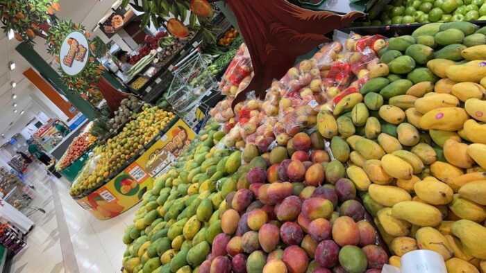 Indian mango promotion programme begins in Bahrain