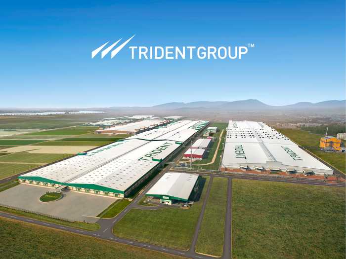 Trident Group