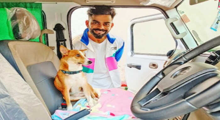 kohli inaugurates ambulance service to help stray animals