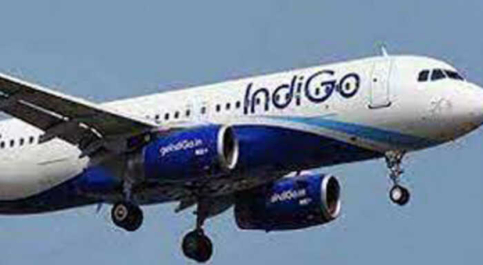 indigo appoints independent non executive directors