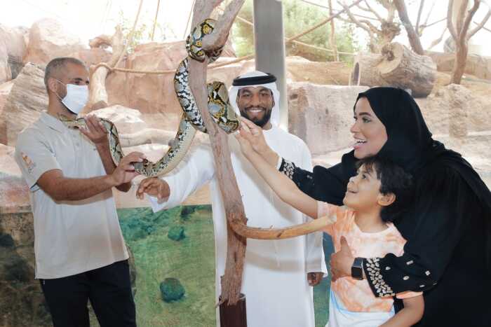 الزواحف