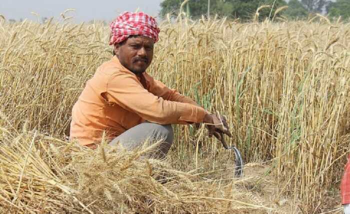 farmrs