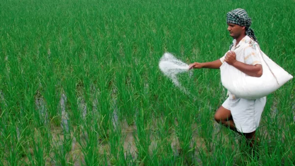 fertilizers subsidy fertilizers subsidy