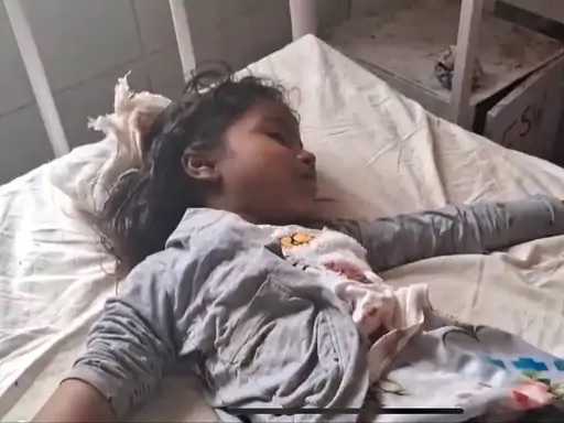 Seven-Year-Old Girl Attacked by Dog in Banswara