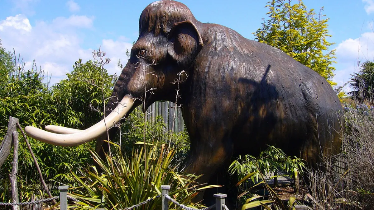 Woolly Mammoth