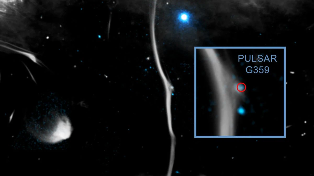 Cosmic Bone