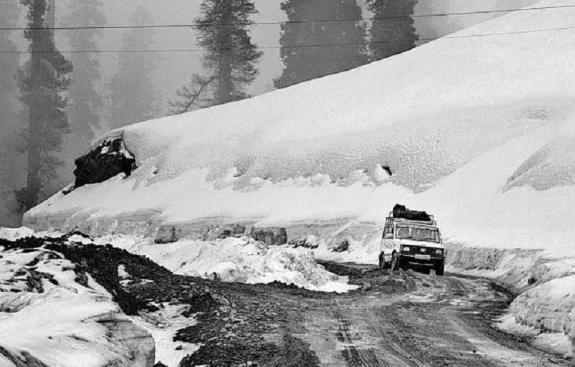 Fresh Snowfall