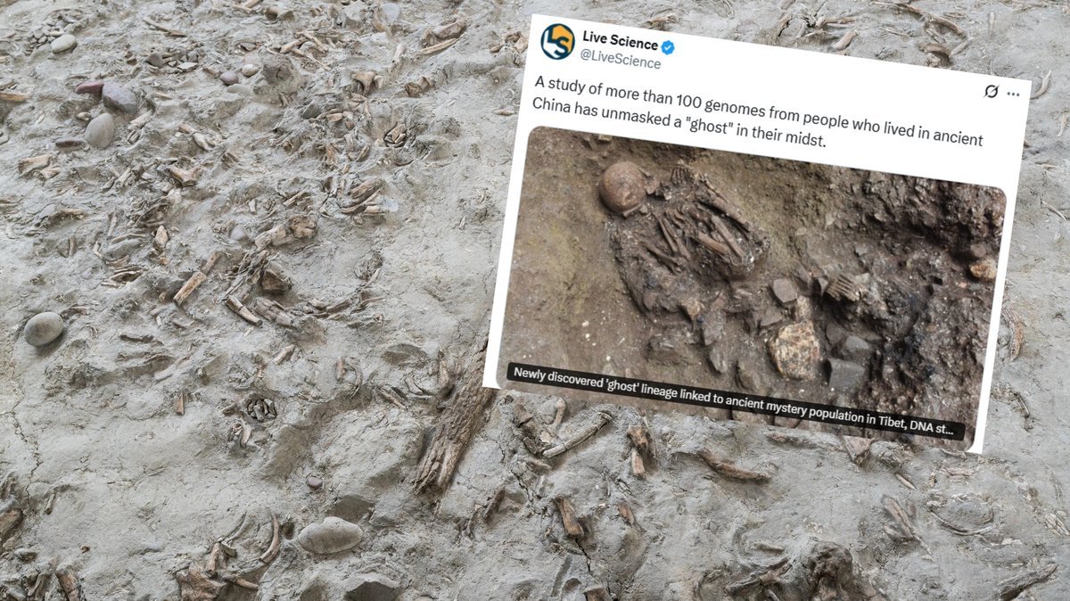 ancient DNA discovery in China