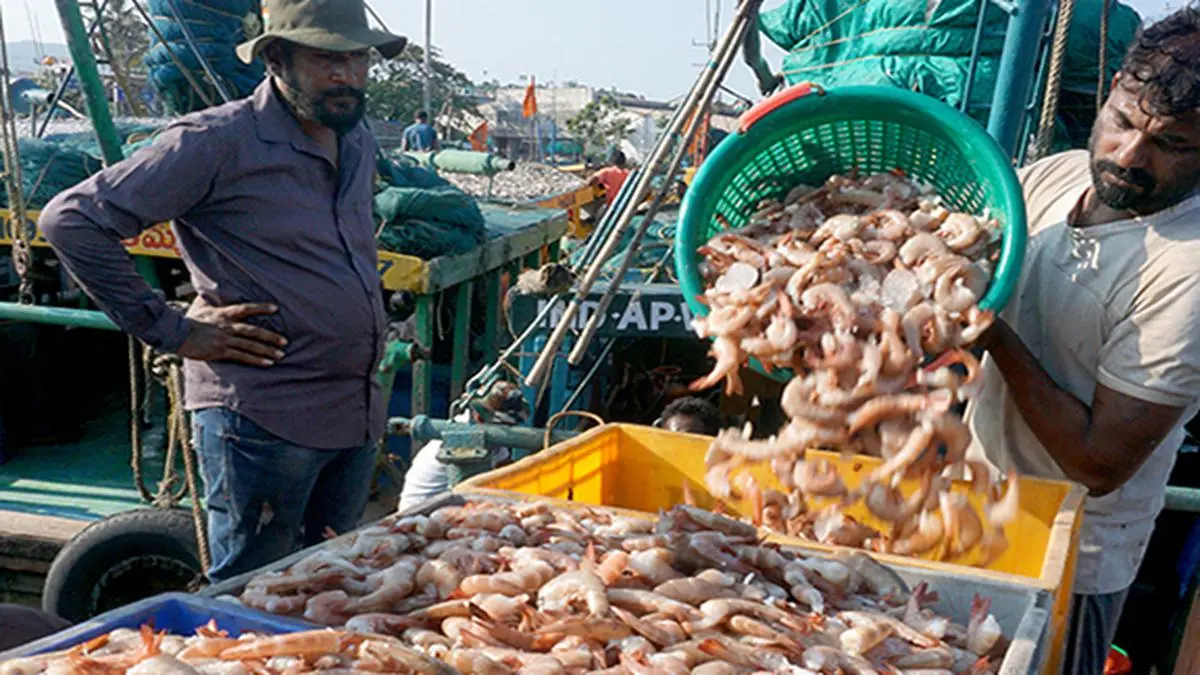 Kings Infra Ventures