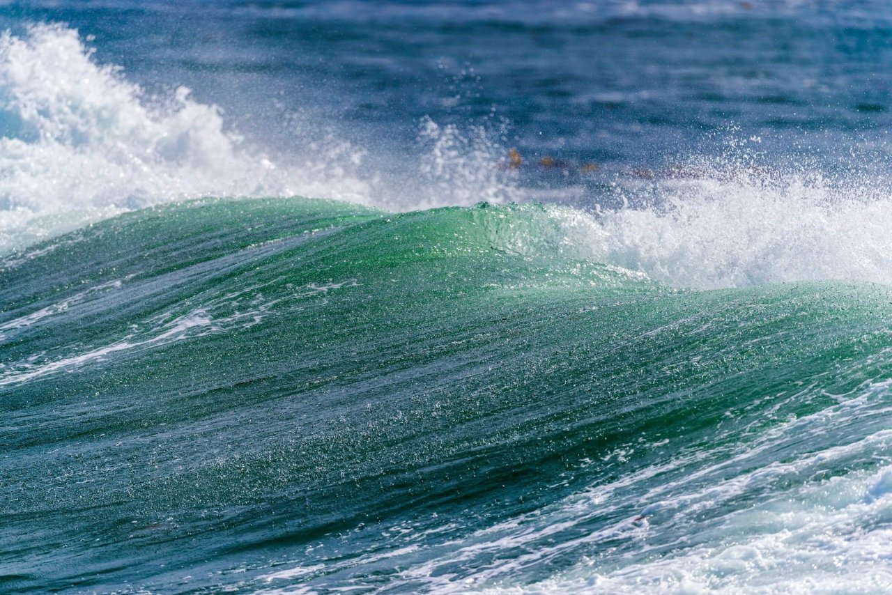 ocean acidification climate change 2025