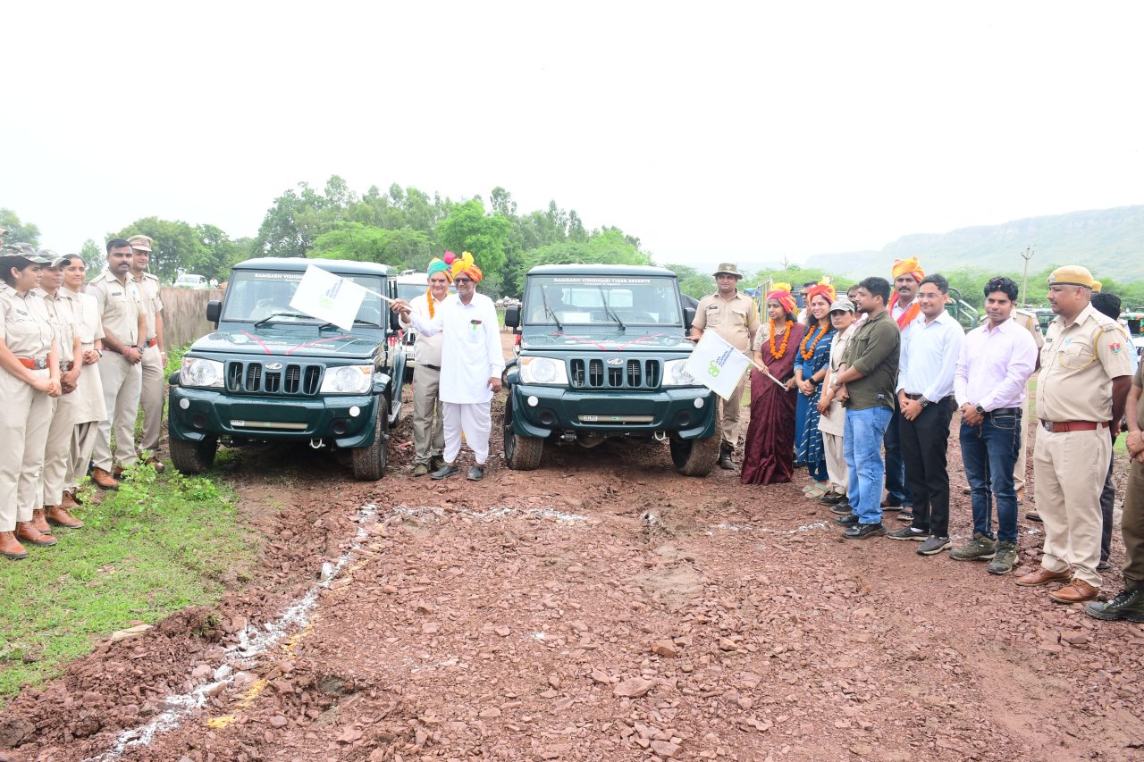 International Tiger Day