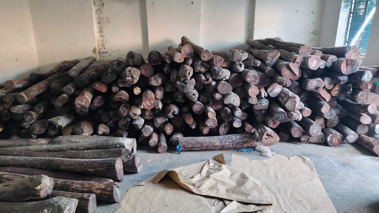 Red Sandalwood