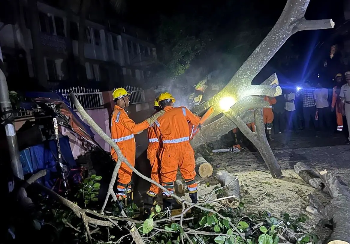 ‘Montha’ Cyclone to Impact Madhya Pradesh; Heavy Rain Alert in 11 ...
