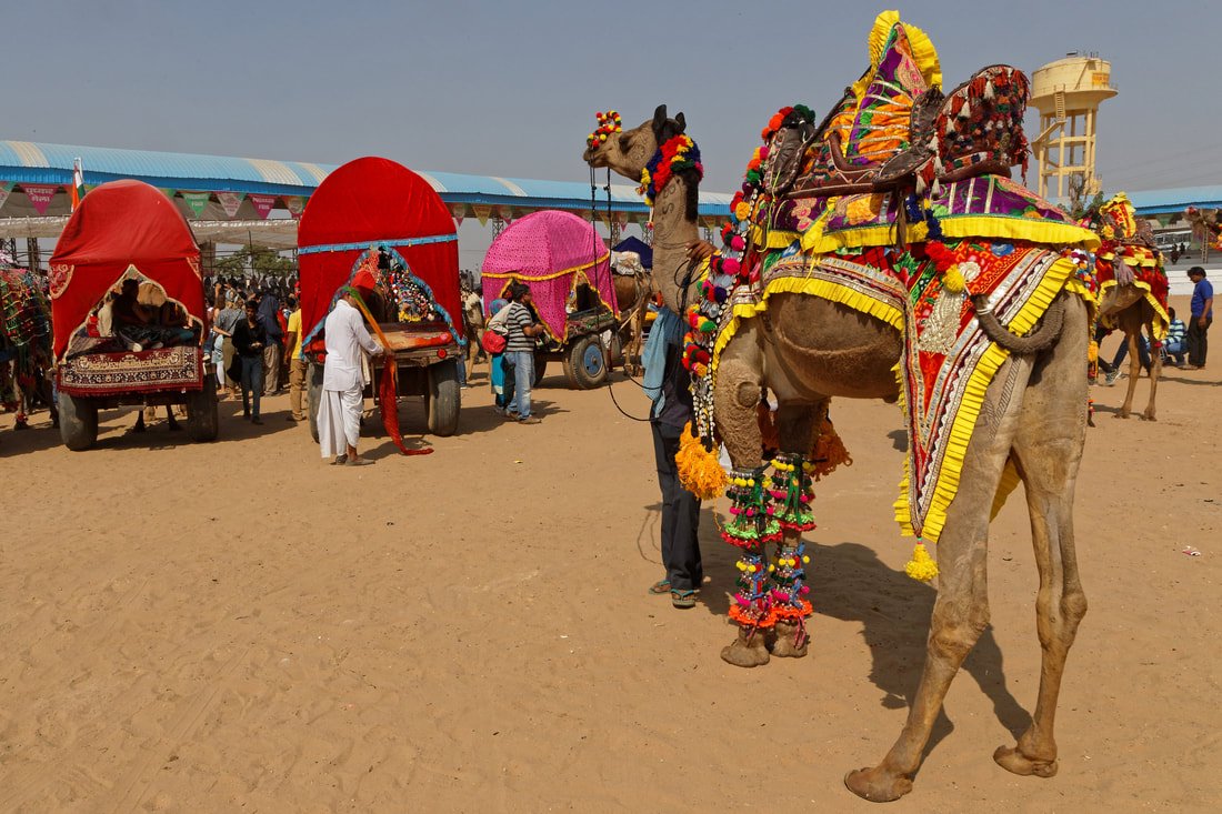 Pushkar Fair