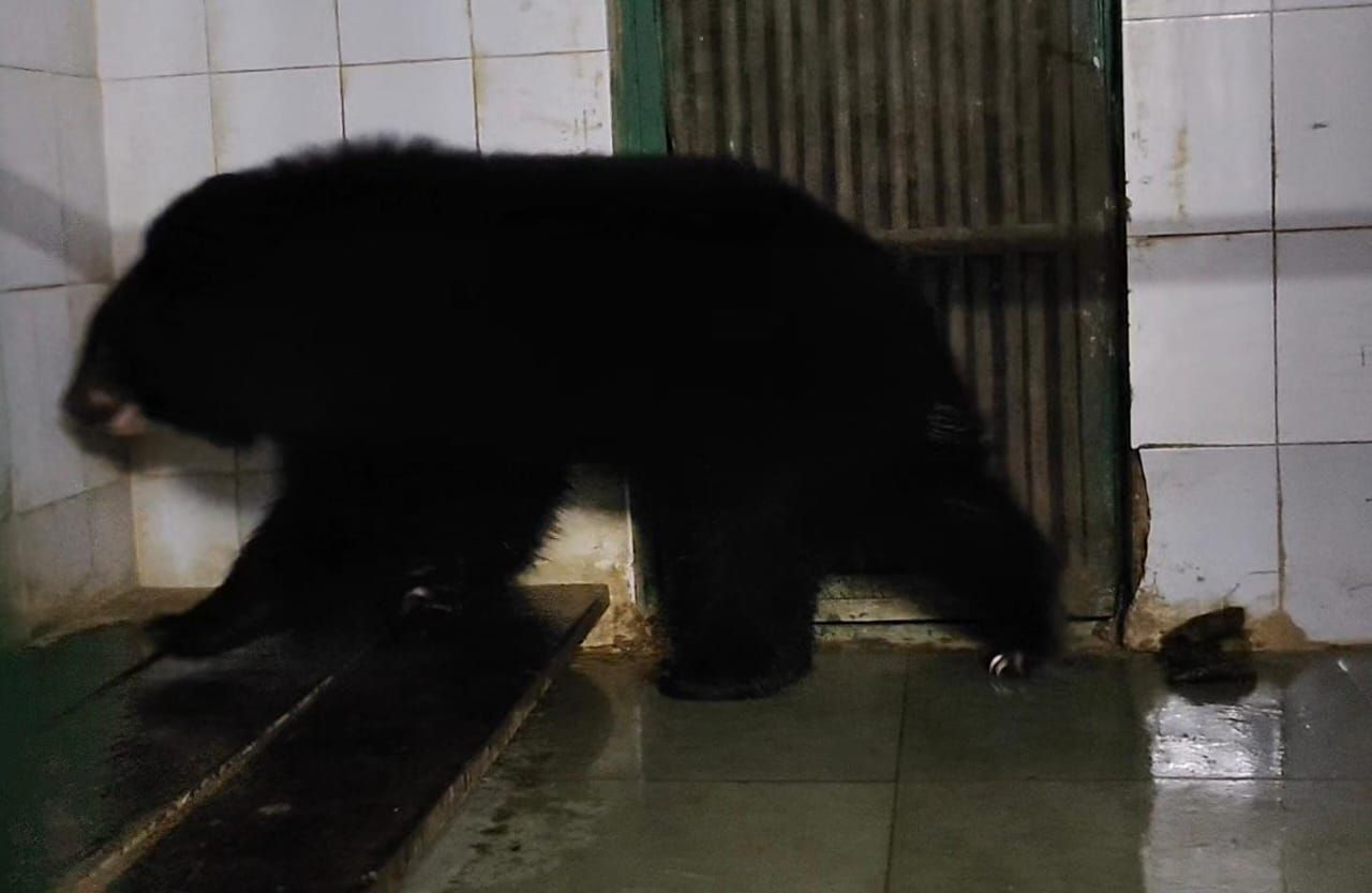 Nahargarh Biological Park