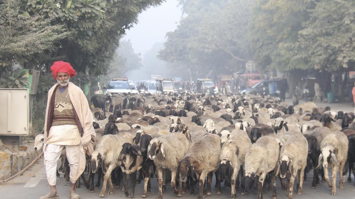 Rajasthan temperature drop