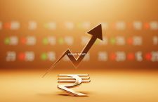 Veerhealth Care rises on bagging contract manufacturing order worth Rs 76.40 lakh