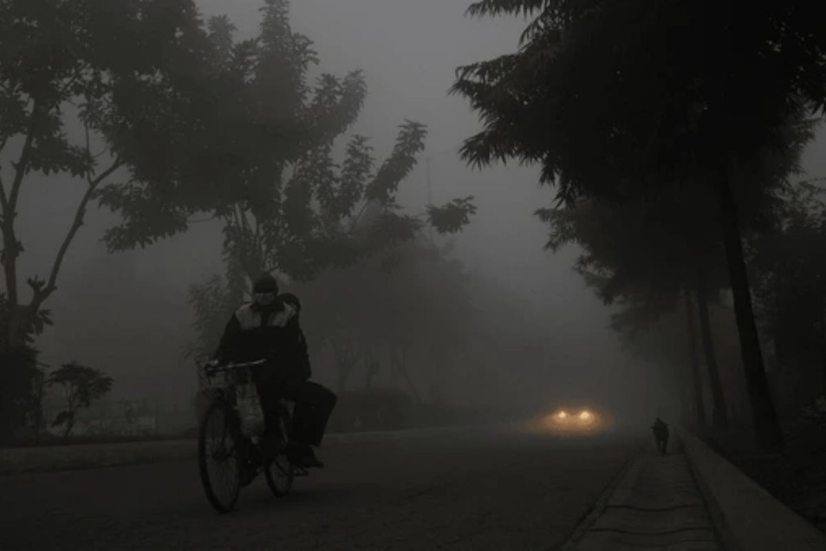 Cold Wave