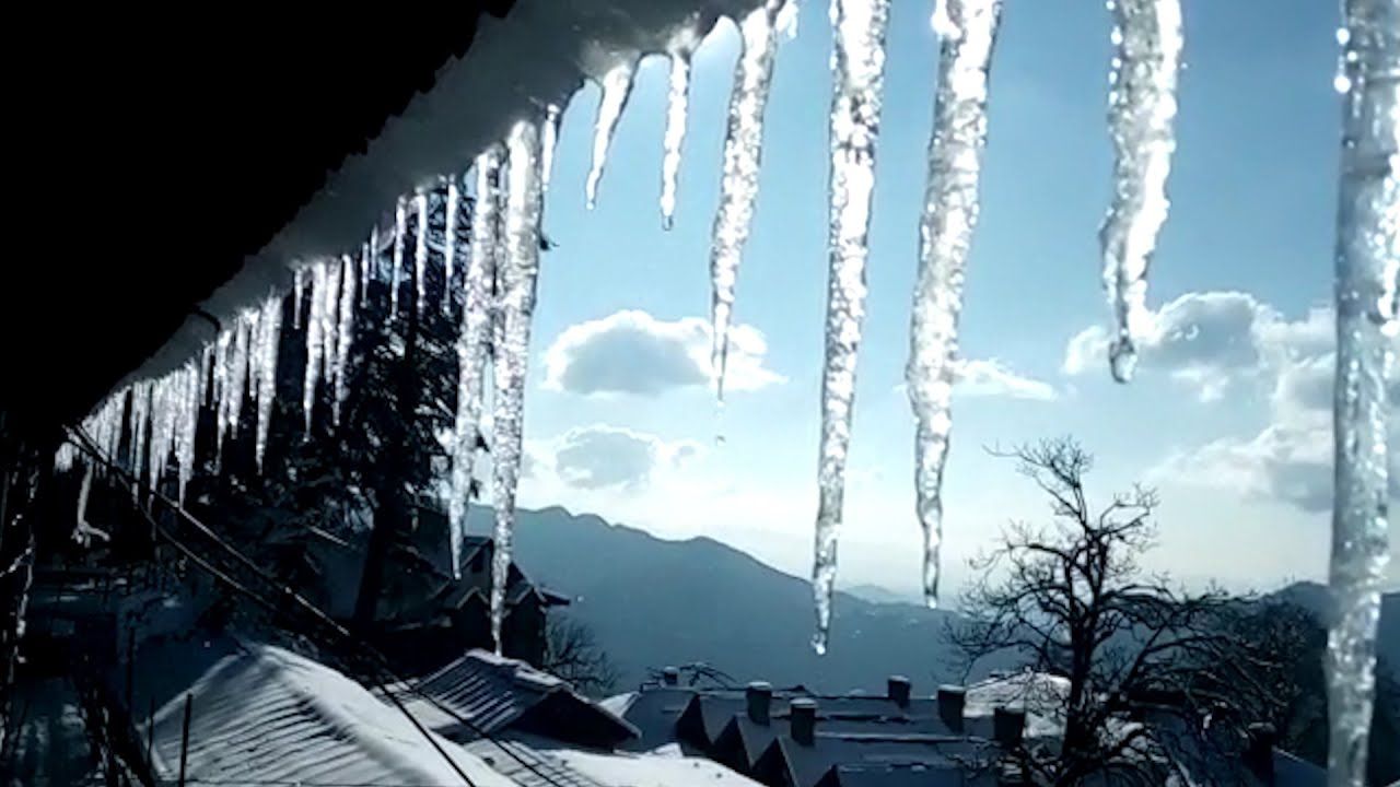 Shimla