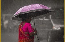 Rain Alert