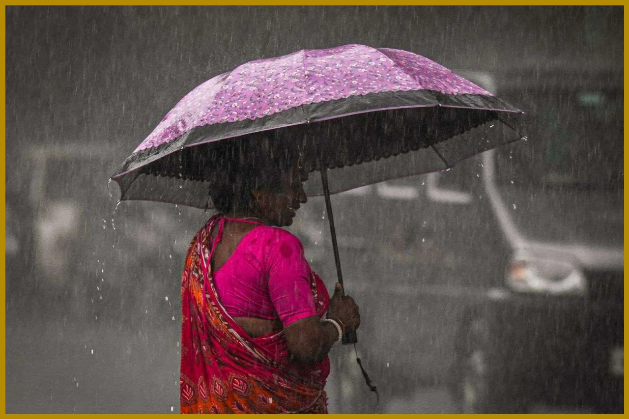 Rain Alert