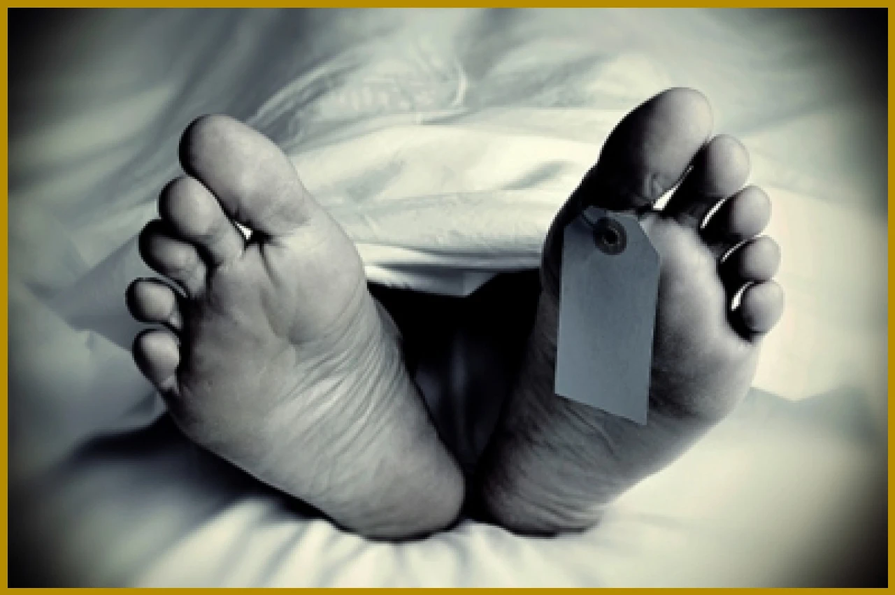 Five Killed in Jaipur Road Accident Involving Car and Trailer
