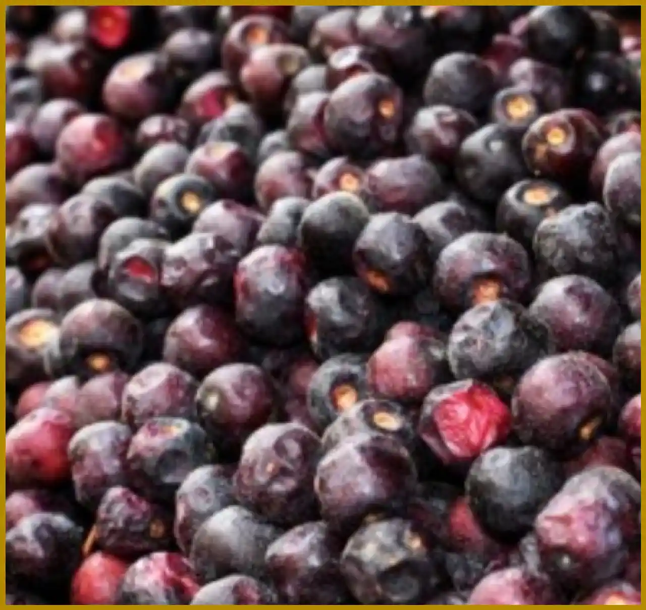Health Benefits of Falsa in Summer