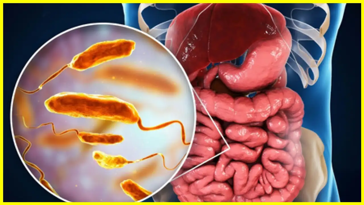 Importance of a Healthy Microbiome for Body and Mind