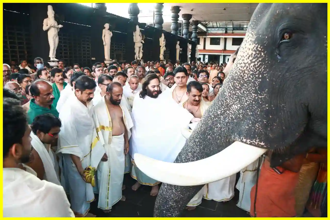 Elephant Welfare