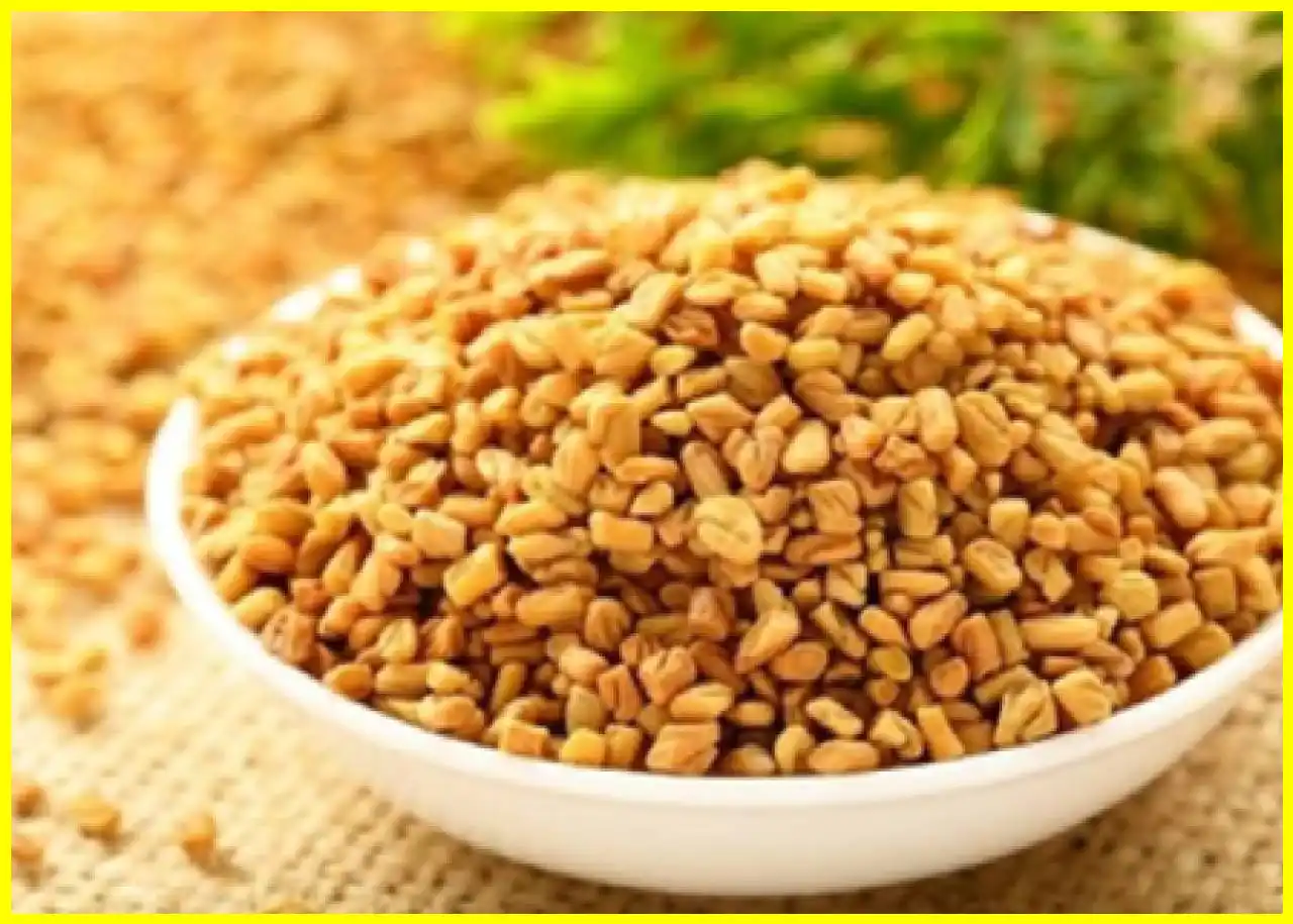Benefits of Fenugreek in Summer: Ayurvedic Insights