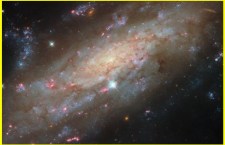 Hubble Telescope Captures Stunning Image of Spiral Galaxy NGC 3137