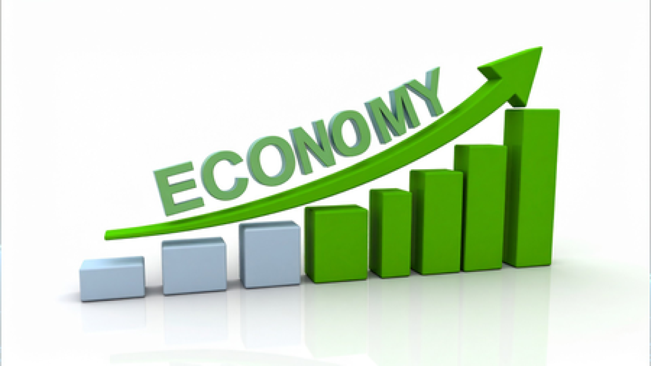 India Can Recover from Short-term Economic Shock in a Year: Expert