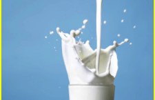 Jammu and Kashmir Milk Unit License Suspended for Violations