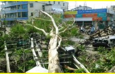 Sudden Weather Change Brings Relief from Heat in Bihar, 13 Lives Lost Due to Storm