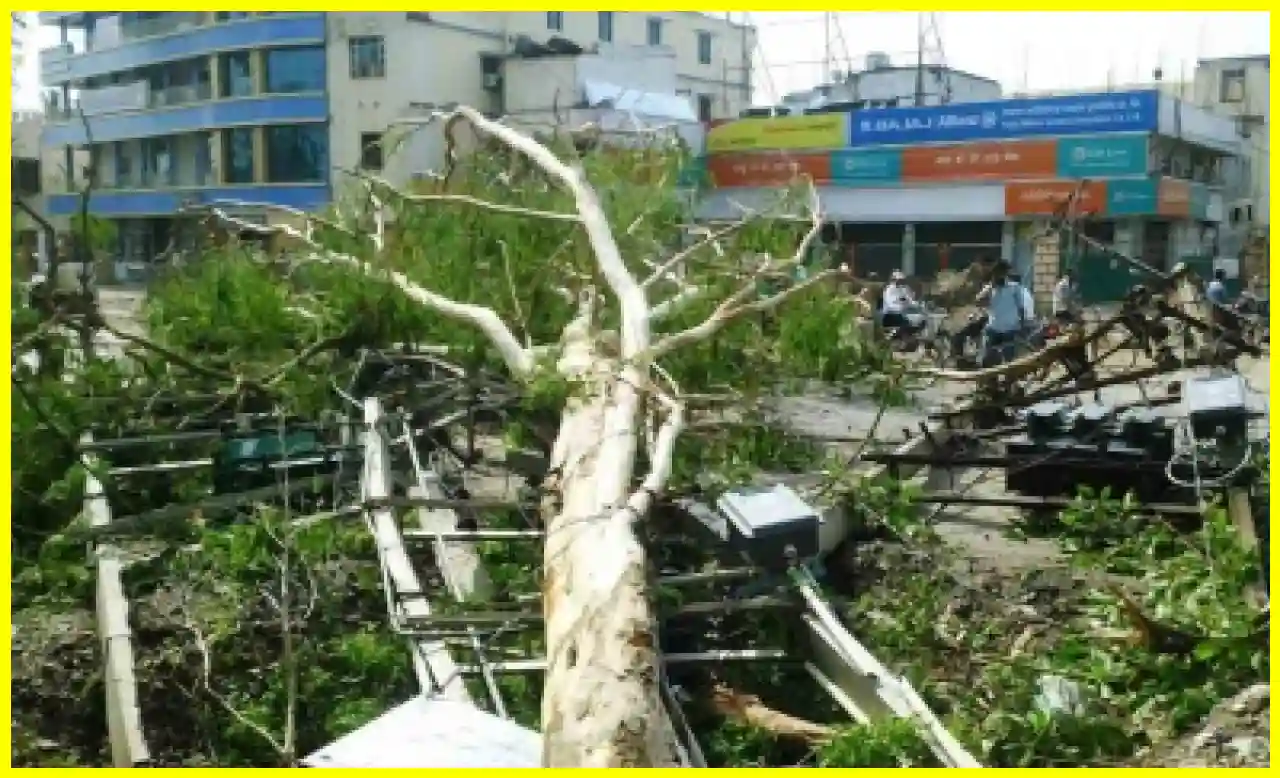 Sudden Weather Change Brings Relief to Bihar, 13 Lives Lost in Storm