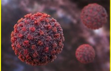 WHO Assures Public: Hantavirus Not Another COVID Pandemic