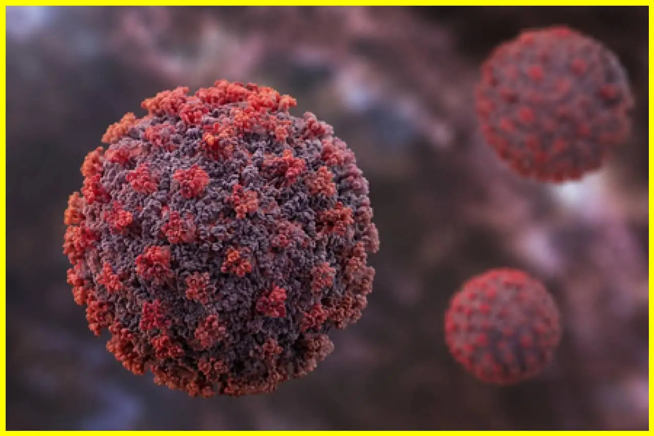 WHO Assures Public: Hantavirus Not Another COVID Pandemic