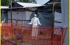 Major Step to Combat Ebola: WHO and Africa CDC Launch IMS Team