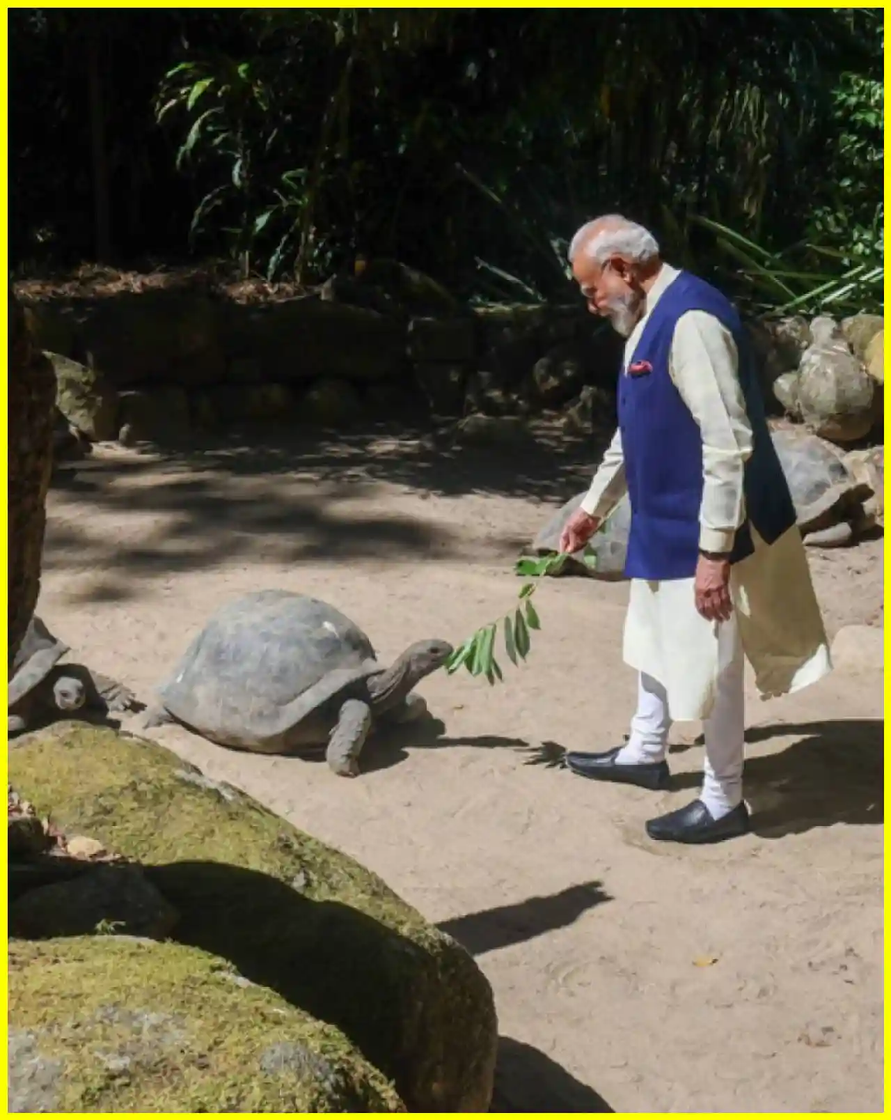 PM Modi Feeds Worlds Oldest Tortoise in Seychelles Botanical Garden