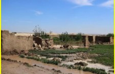 Devastating Floods in Afghanistan Claim 20 Lives, 100 Missing