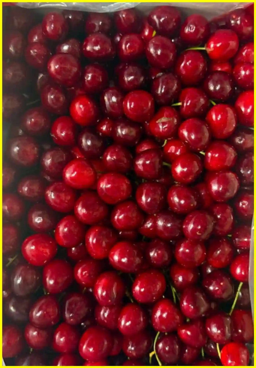 Jammu and Kashmir Exports Premium Cherries and Plums to Singapore
