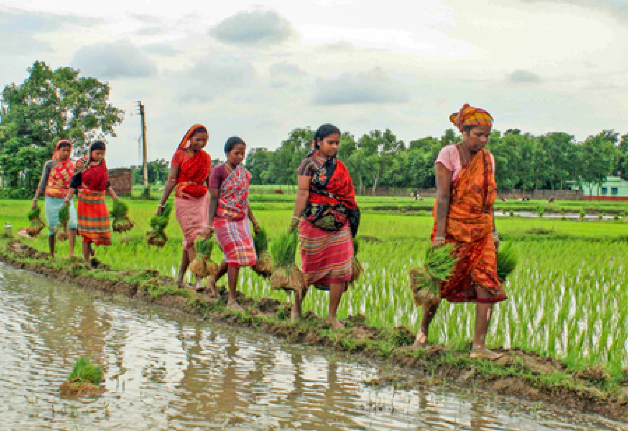 Bengal Government to Issue Employment Cards for Migrant Workers Families