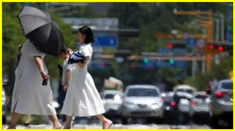 Severe Heatwave Claims Lives in South Korea