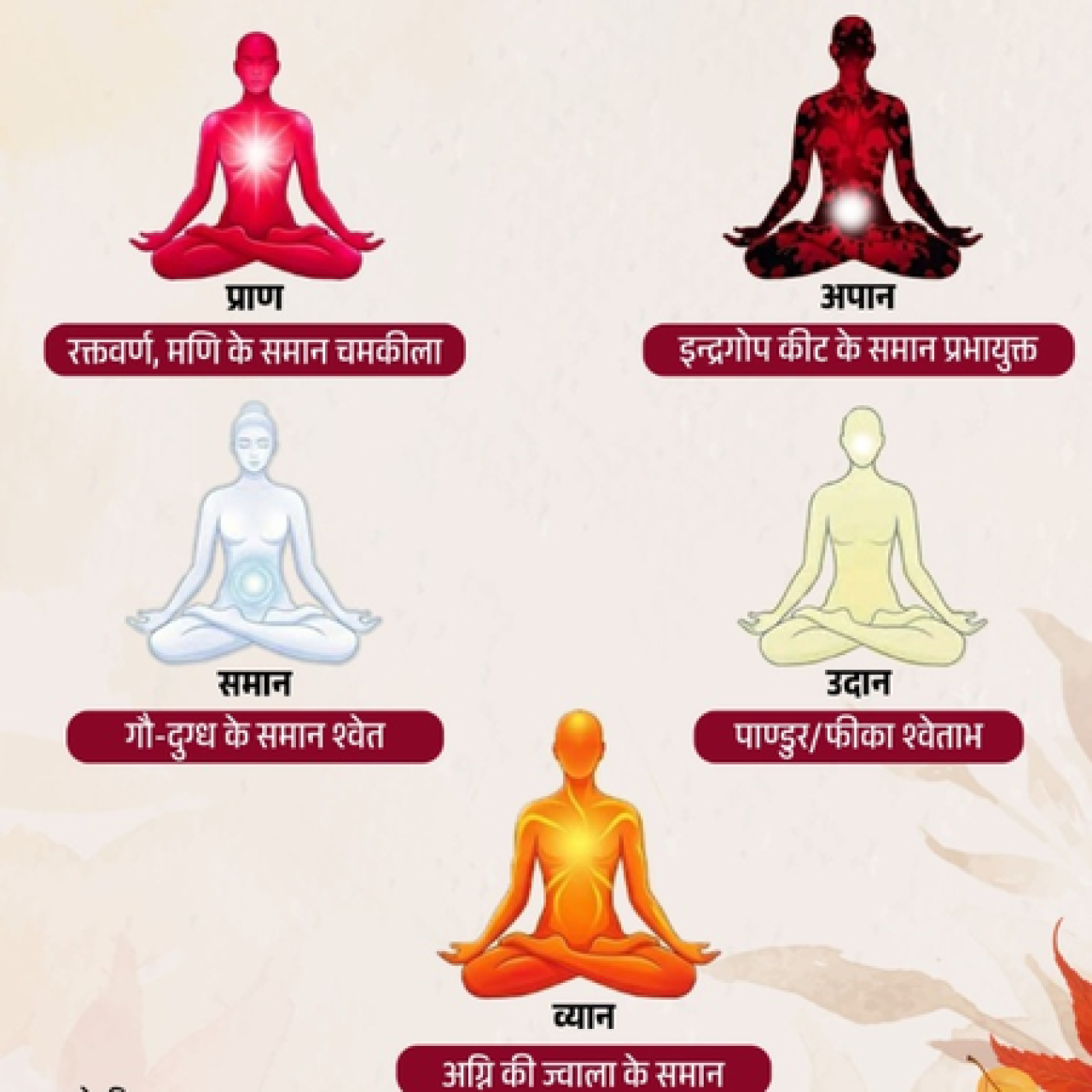 Understanding the Five Vital Energies in the Body