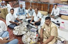 Sanwaliya Seth Temple Receives ₹31.17 Crore in Offerings, Including Gold, Silver and Foreign Currency