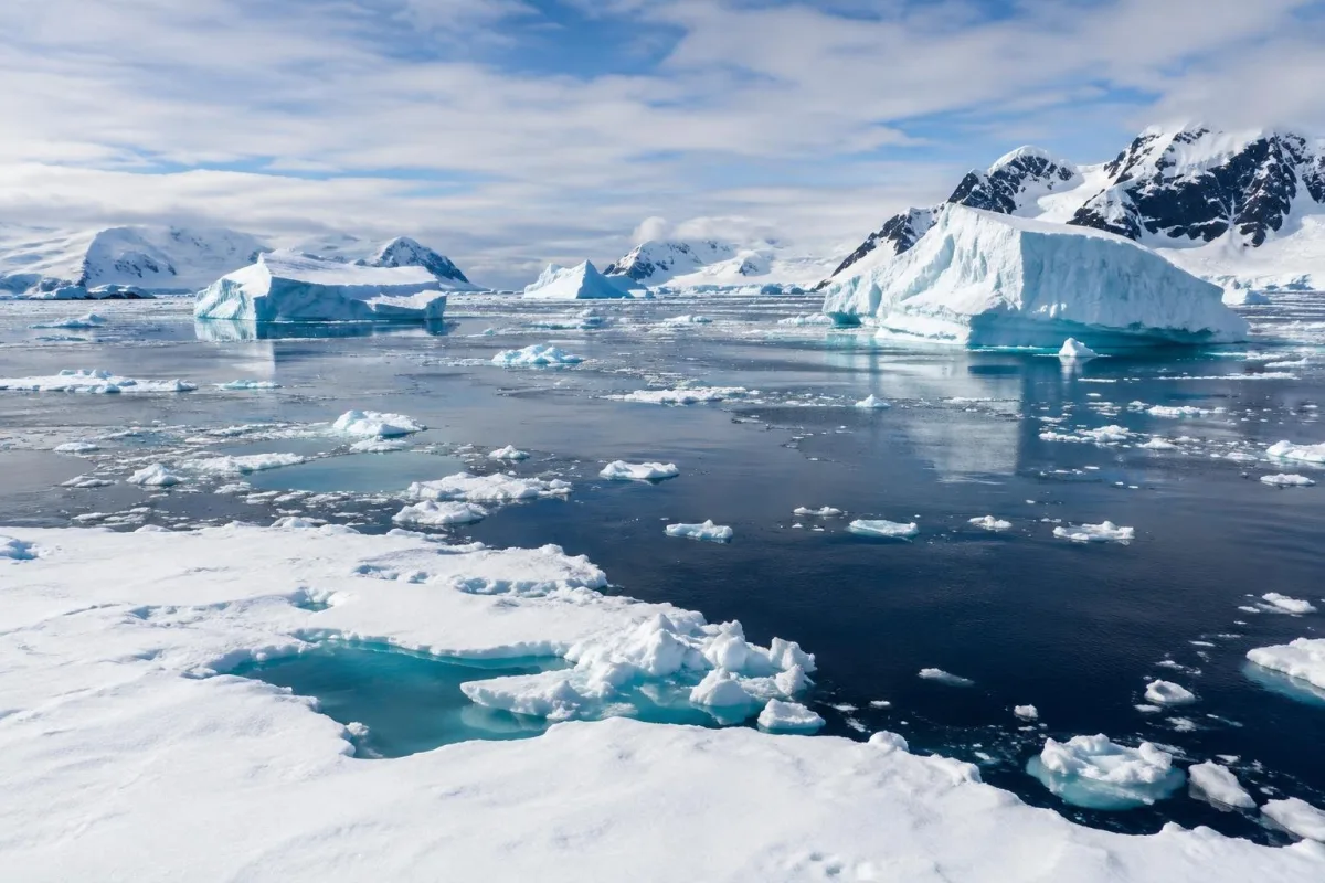 Antarctic Sea Ice Decline Raises Ocean Salinity, Study Reveals